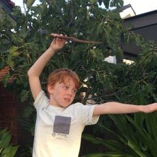 4 Simple Steps To Make Your Own Harry Potter Wand